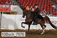 10buck_7576 proof