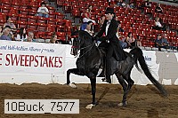 10buck_7577 proof
