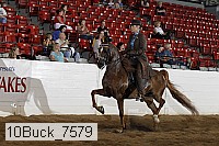 10buck_7579 proof
