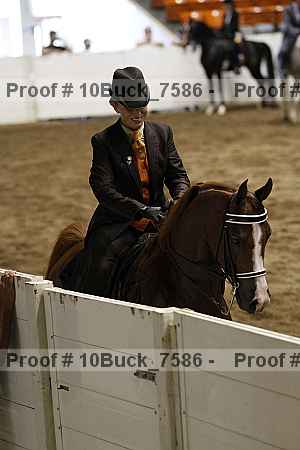 Proof 10buck_7586