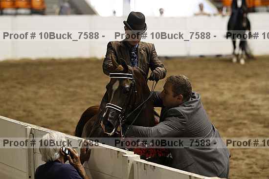 Proof 10buck_7588