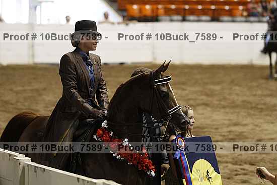 Proof 10buck_7589