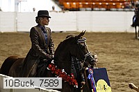 10buck_7589 proof