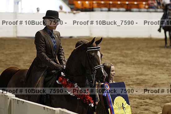 Proof 10buck_7590
