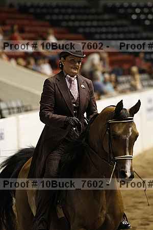 Proof 10buck_7602