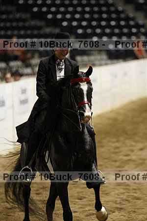 Proof 10buck_7608