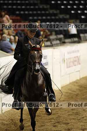 Proof 10buck_7612