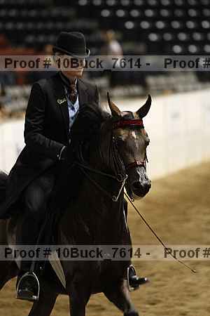 Proof 10buck_7614