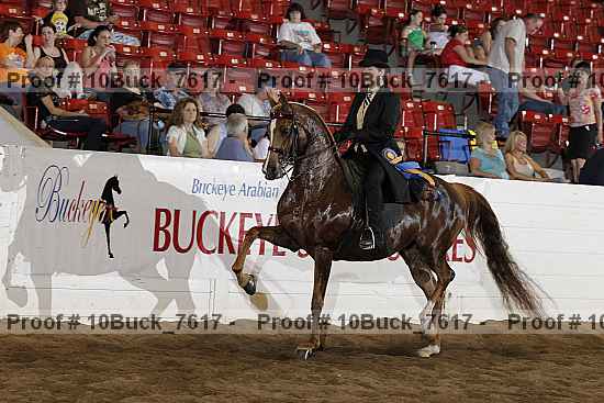 Proof 10buck_7617