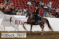10buck_7617 proof