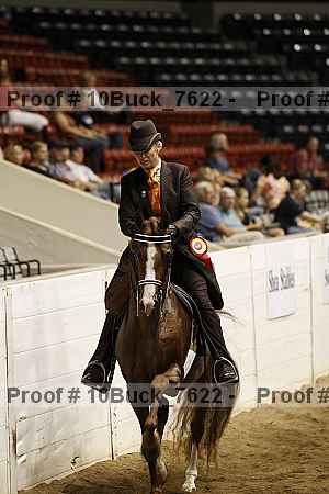 Proof 10buck_7622