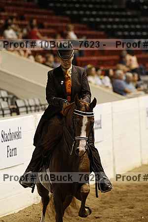 Proof 10buck_7623