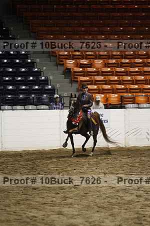 Proof 10buck_7626