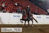 10buck_7630 proof