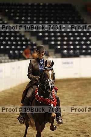 Proof 10buck_7631