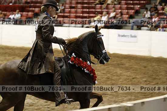Proof 10buck_7634
