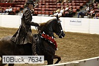 10buck_7634 proof