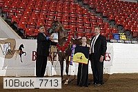 10buck_7713 proof