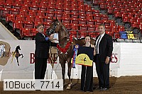 10buck_7714 proof