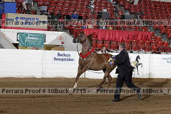 Proof 10buck_7715