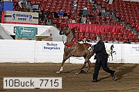 10buck_7715 proof