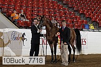 10buck_7718 proof