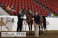 10buck_7719 proof