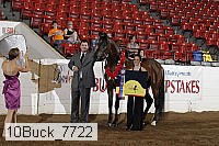 10buck_7722 proof