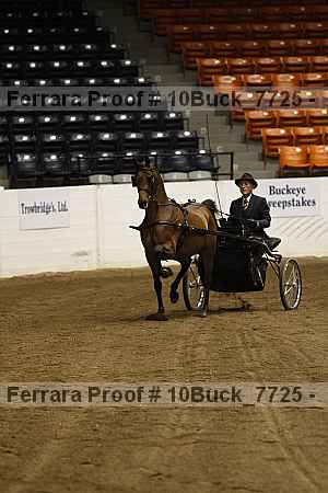 Proof 10buck_7725