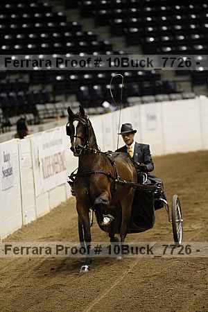 Proof 10buck_7726