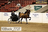 10buck_7727 proof
