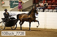 10buck_7728 proof