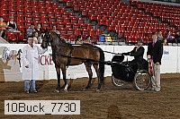 10buck_7730 proof