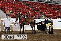 10buck_7732 proof
