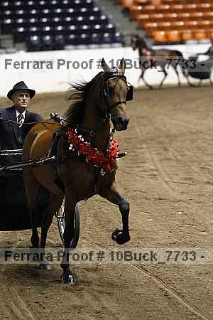 Proof 10buck_7733