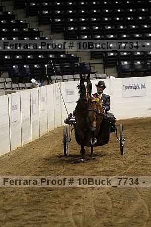 Proof 10buck_7734