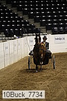 10buck_7734 proof