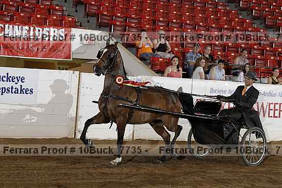 Proof 10buck_7735