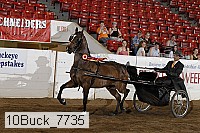 10buck_7735 proof