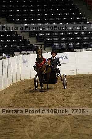 Proof 10buck_7736