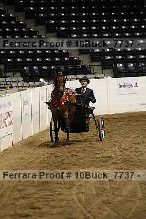 Proof 10buck_7737