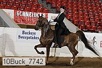 10buck_7742 proof