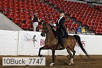 10buck_7747 proof
