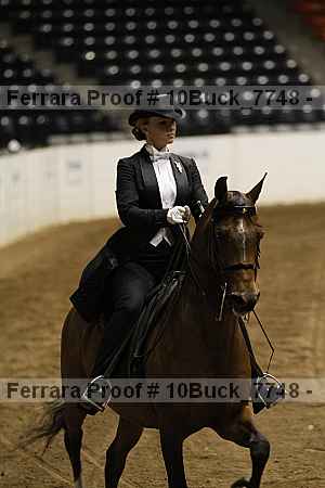 Proof 10buck_7748