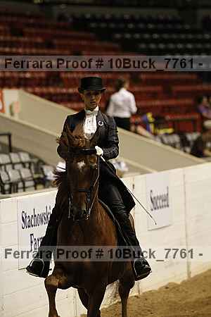 Proof 10buck_7761