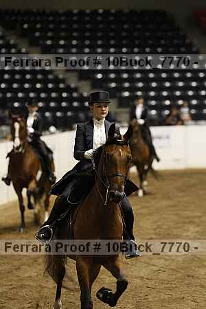 Proof 10buck_7770