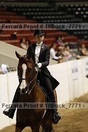 Proof 10buck_7771