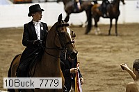 10buck_7779 proof