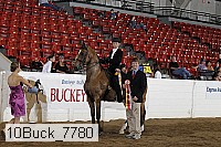 10buck_7780 proof