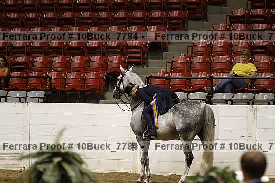 Proof 10buck_7784